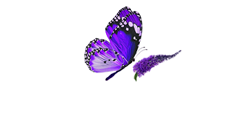 Butterfly Landscape 